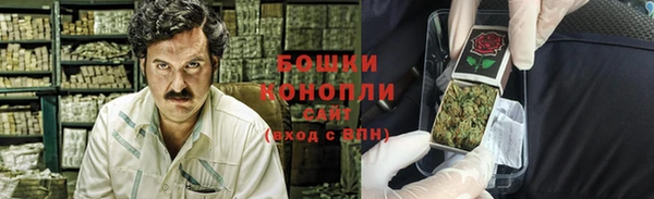 PSILOCYBIN Белокуриха