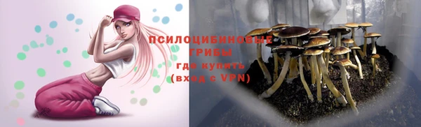 PSILOCYBIN Белокуриха