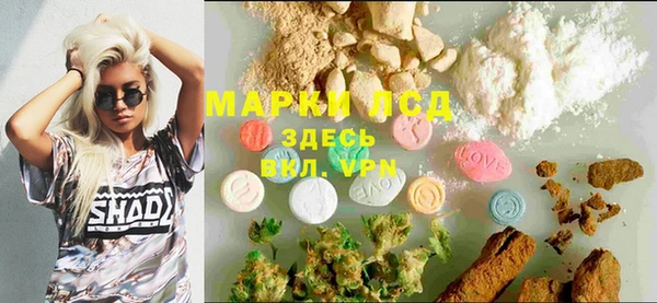 PSILOCYBIN Белокуриха