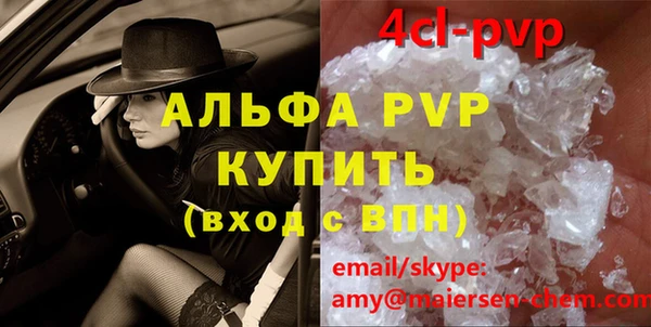 PSILOCYBIN Белокуриха
